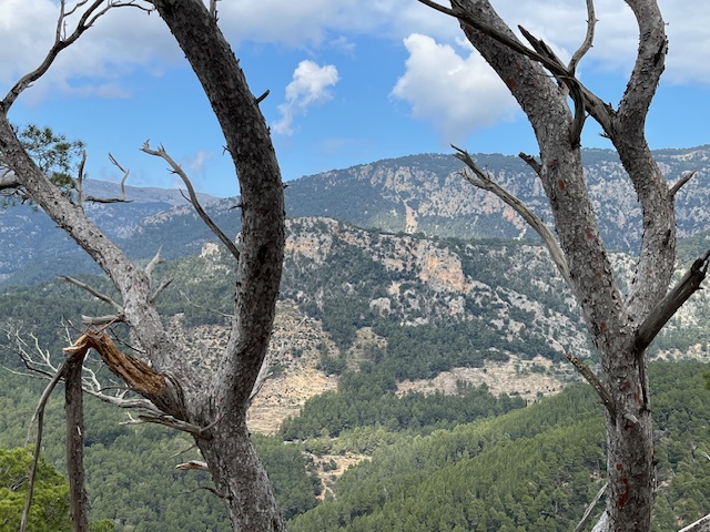 Gorgeous view of the mountains.