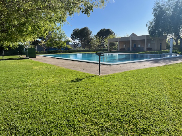 Pool area with lush and green grass.